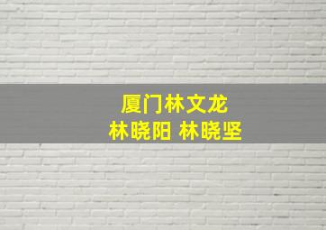 厦门林文龙 林晓阳 林晓坚